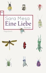 Auf dem Bild ist das Buch Eine Liebe von Sara Mesa.