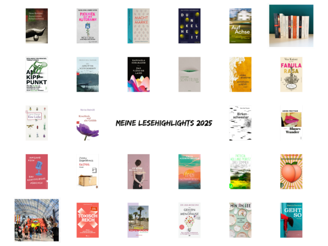 Auf dem Bild sind meine Lesehighlights 2025 abgebildet. Es ist das Header-Bild zu dem Blogbeitrag darüber.