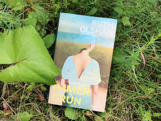 Das Buch Immergrün von Ruth Olshan umgeben von Pflanzen. Es ist das Headerbild zu einer Rezension des Buches.