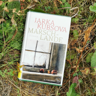 Das Buch „Marschlande" von Jarka Kubsova, erschienen bei S. Fischer, liegt auf wildem, grün-braunem Wiesenboden zwischen Gräsern und Blättern. Das weiße Cover zeigt in Aquarelltönen ein altes Sprossenfenster, auf dessen Sims drei rotbraune Äpfel liegen. Titel und Autorinnenname stehen in Rot und gedecktem Grün darüber. Es ist das Headerbild einer Rezension des Buchs.