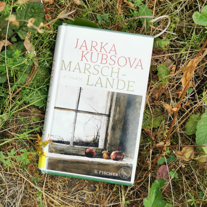 Das Buch „Marschlande" von Jarka Kubsova, erschienen bei S. Fischer, liegt auf wildem, grün-braunem Wiesenboden zwischen Gräsern und Blättern. Das weiße Cover zeigt in Aquarelltönen ein altes Sprossenfenster, auf dessen Sims drei rotbraune Äpfel liegen. Titel und Autorinnenname stehen in Rot und gedecktem Grün darüber. Es ist das Headerbild einer Rezension des Buchs.